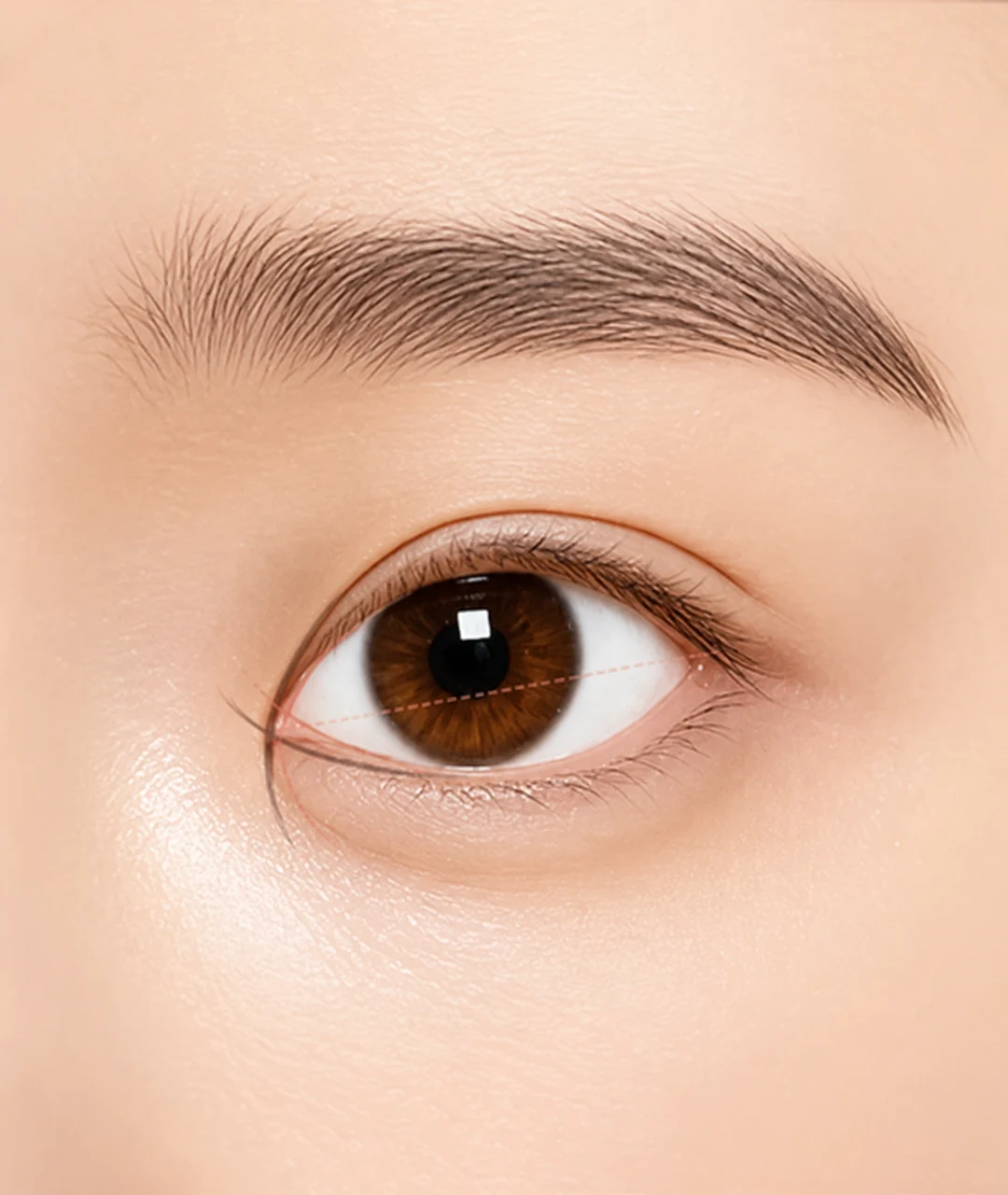 Inner and outer eye corners