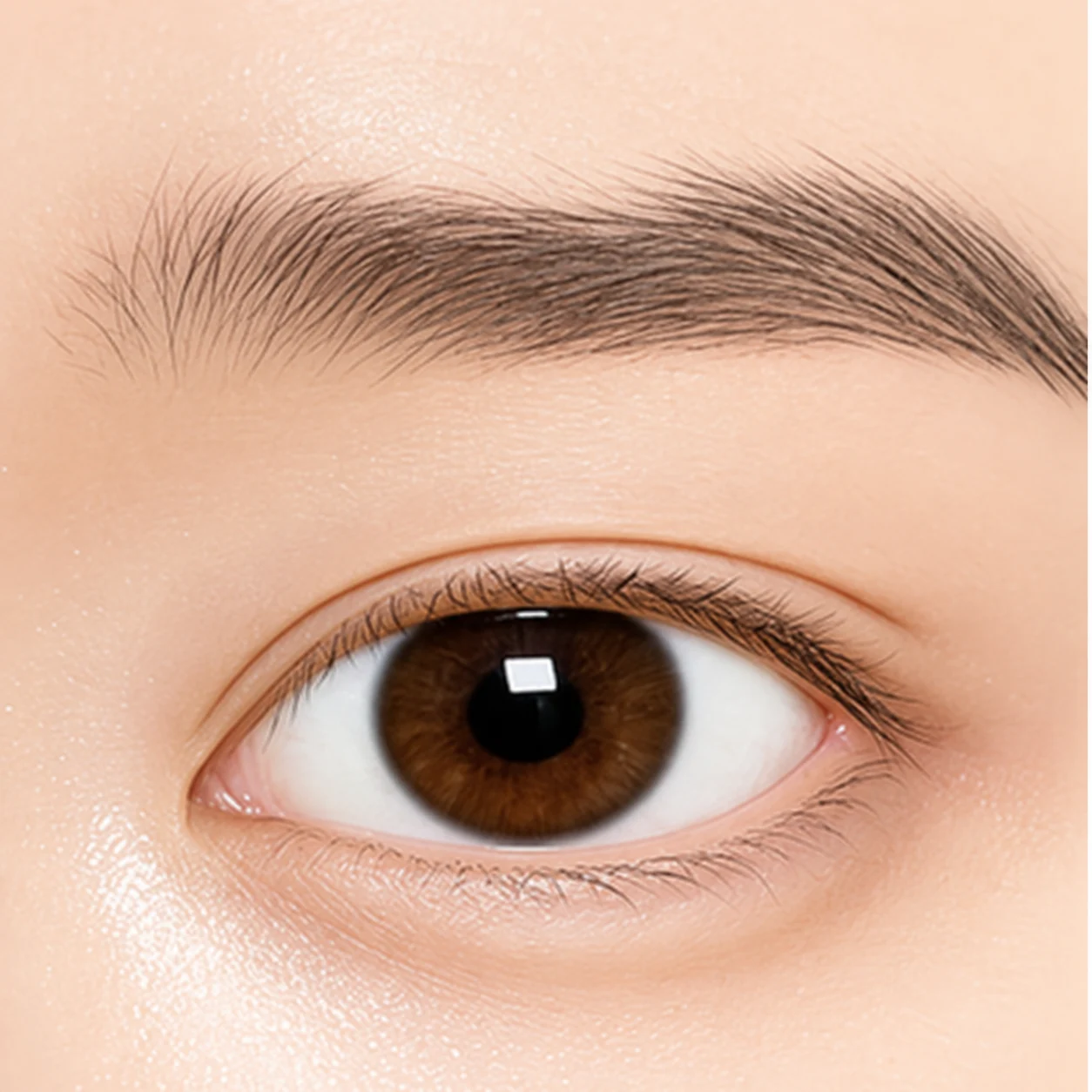 Low crease