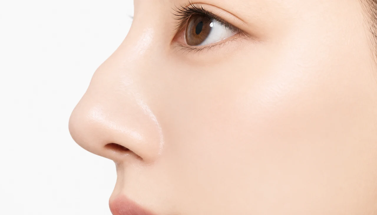 Nasal bridge profile