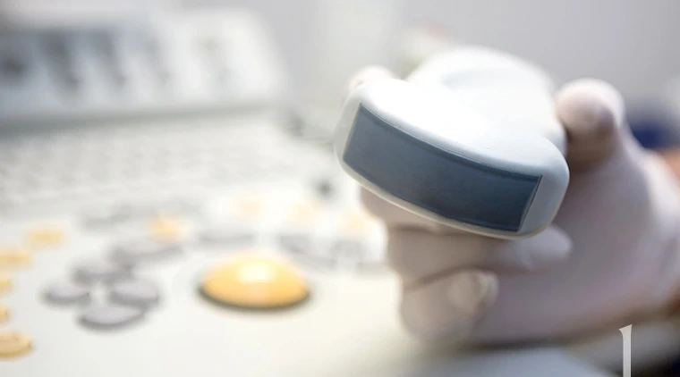 Ultrasound assessment