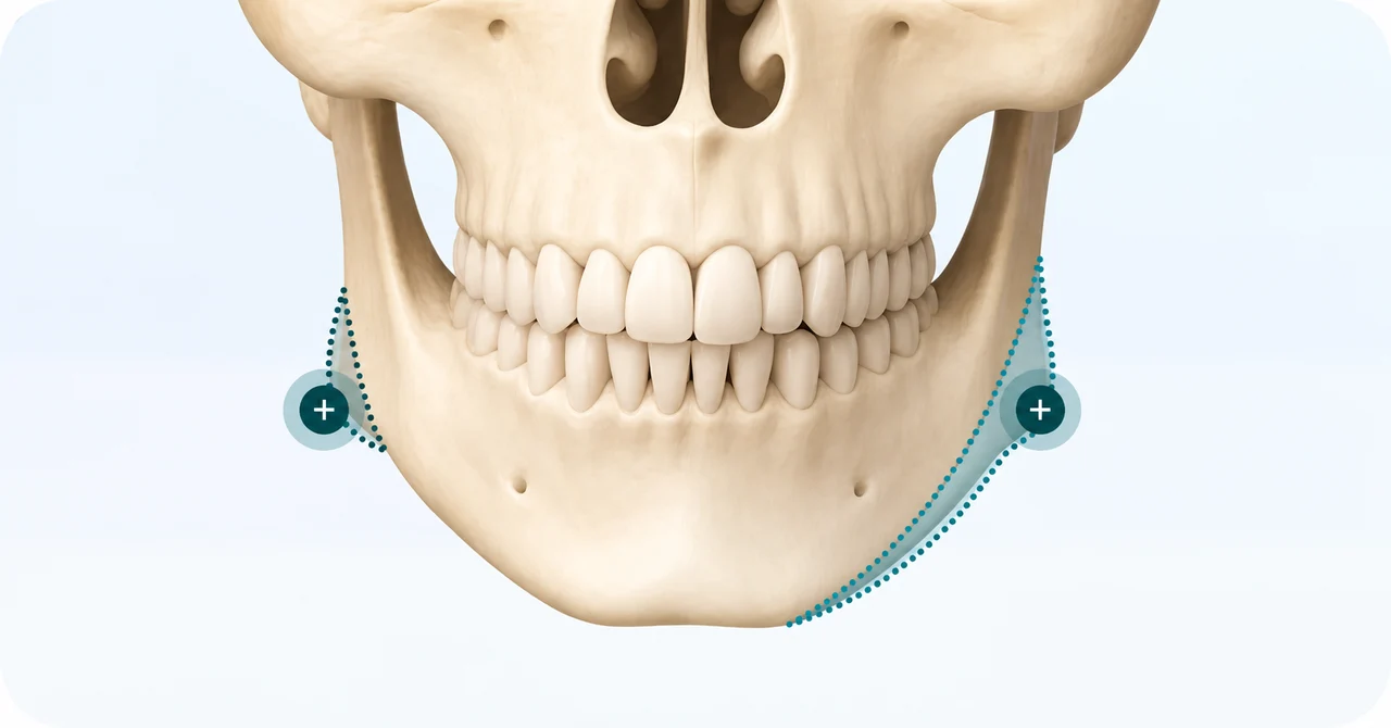 Mandibular anatomy